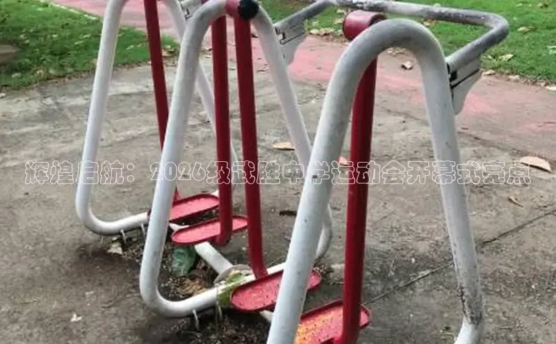 熊猫体育网站
